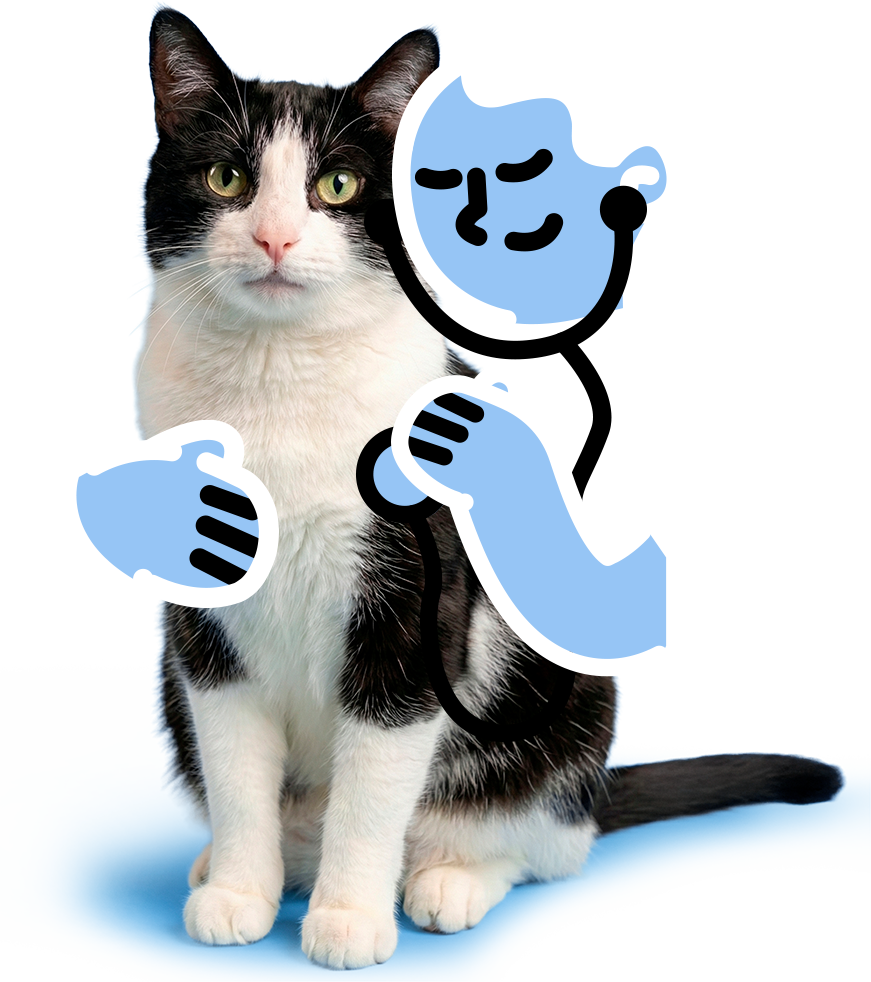 Gato junto a un veterinario ilustrado
