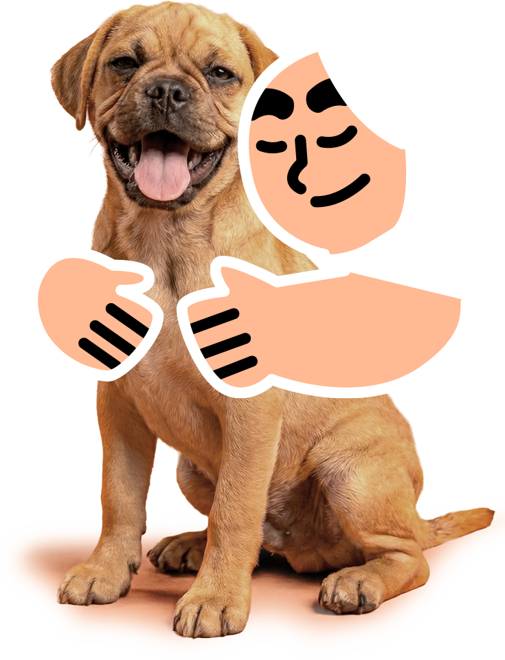Perro junto a un tutor ilustrado