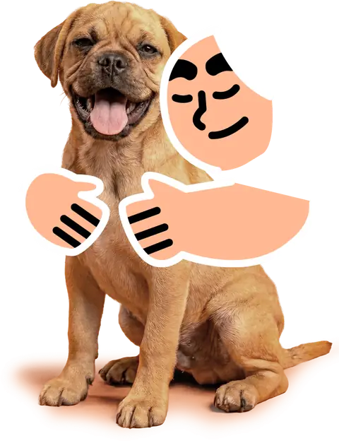 Perro junto a un tutor ilustrado