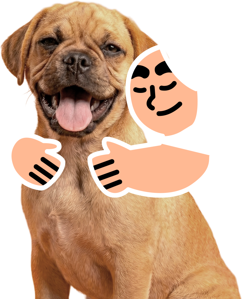 Perro junto a la ilustración de un tutor